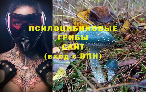 мдпв Валдай
