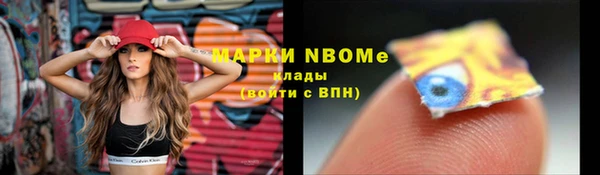 прущий лед Козловка
