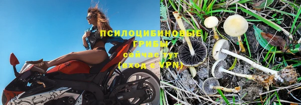 spice Карпинск